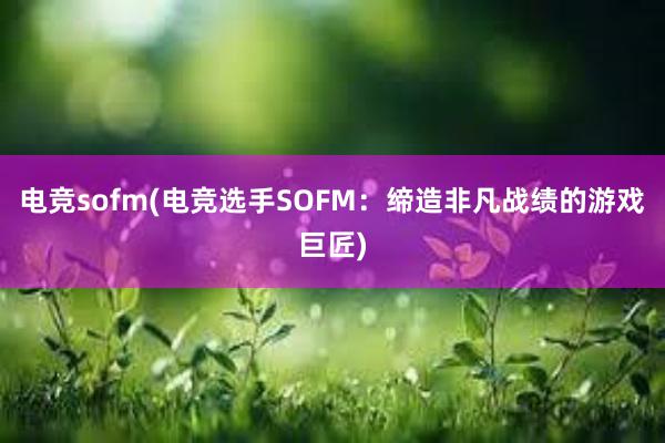 电竞sofm(电竞选手SOFM：缔造非凡战绩的游戏巨匠)