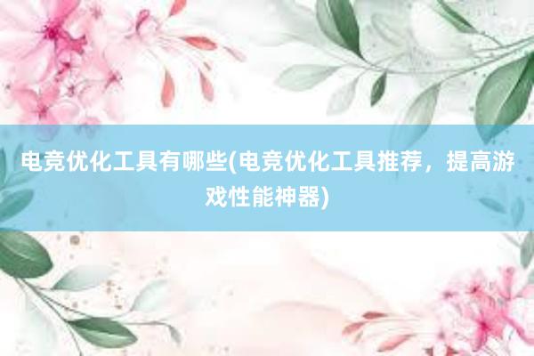 电竞优化工具有哪些(电竞优化工具推荐，提高游戏性能神器)